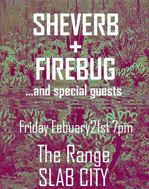 FireBug Sheverb Live - The Range - Slab City, CA